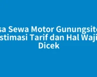 Jasa Sewa Motor Gunungsitoli: Estimasi Tarif dan Hal Wajib Dicek