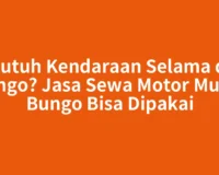 Butuh Kendaraan Selama di Bungo? Jasa Sewa Motor Muara Bungo Bisa Dipakai