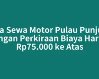 Jasa Sewa Motor Pulau Punjung dengan Perkiraan Biaya Harian Rp75.000 ke Atas