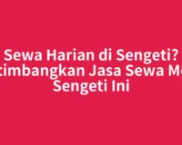 Sewa Harian di Sengeti? Pertimbangkan Jasa Sewa Motor Sengeti Ini