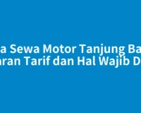 Jasa Sewa Motor Tanjung Balai: Kisaran Tarif dan Hal Wajib Dicek