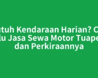 Butuh Kendaraan Harian? Cek Dulu Jasa Sewa Motor Tuapejat dan Perkiraannya