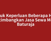 Untuk Keperluan Beberapa Hari, Pertimbangkan Jasa Sewa Motor Baturaja