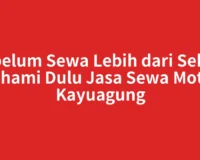 Sebelum Sewa Lebih dari Sehari Pahami Dulu Jasa Sewa Motor Kayuagung